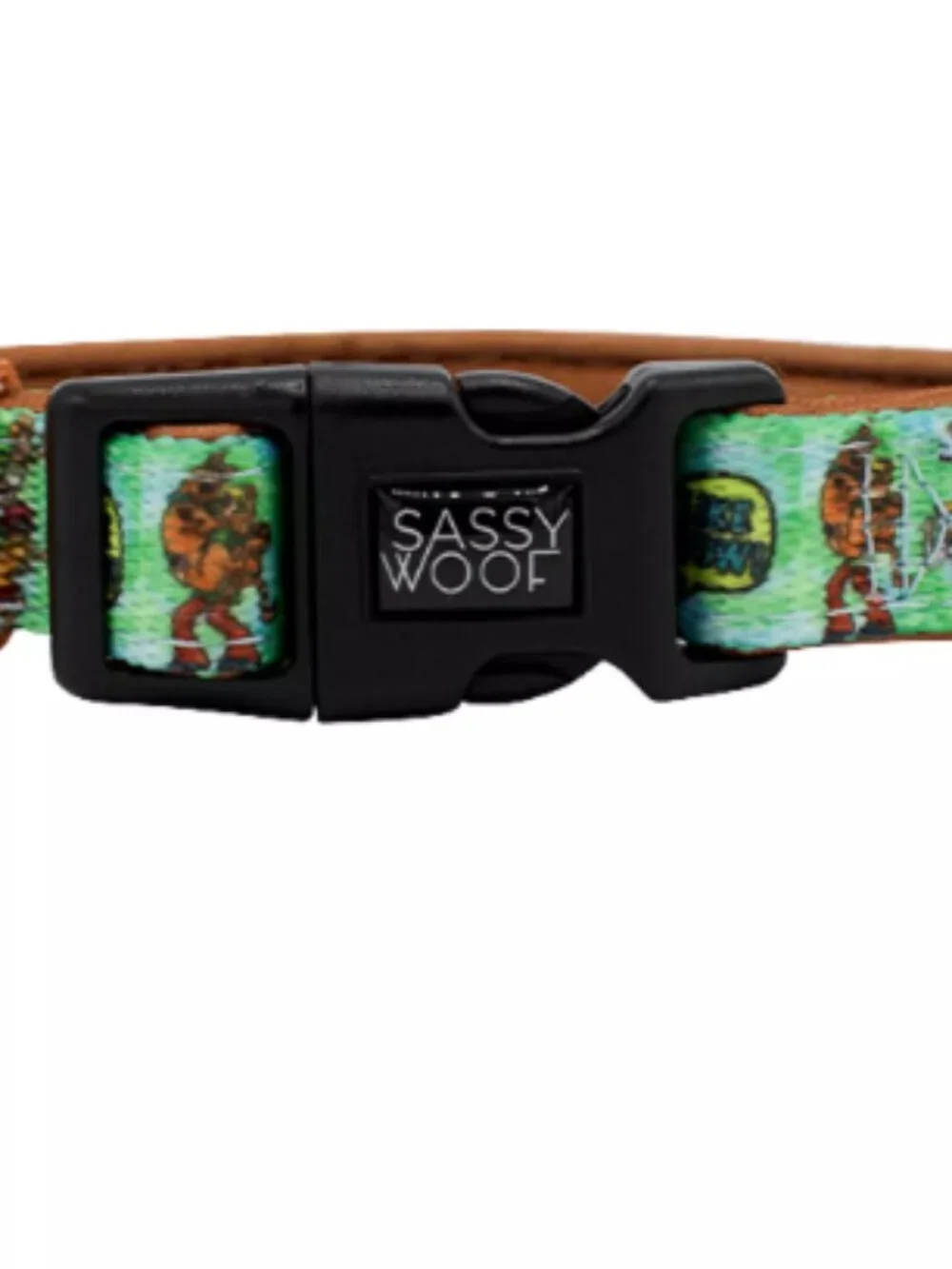 Sassy Woof Scooby-Doo Dog Collar